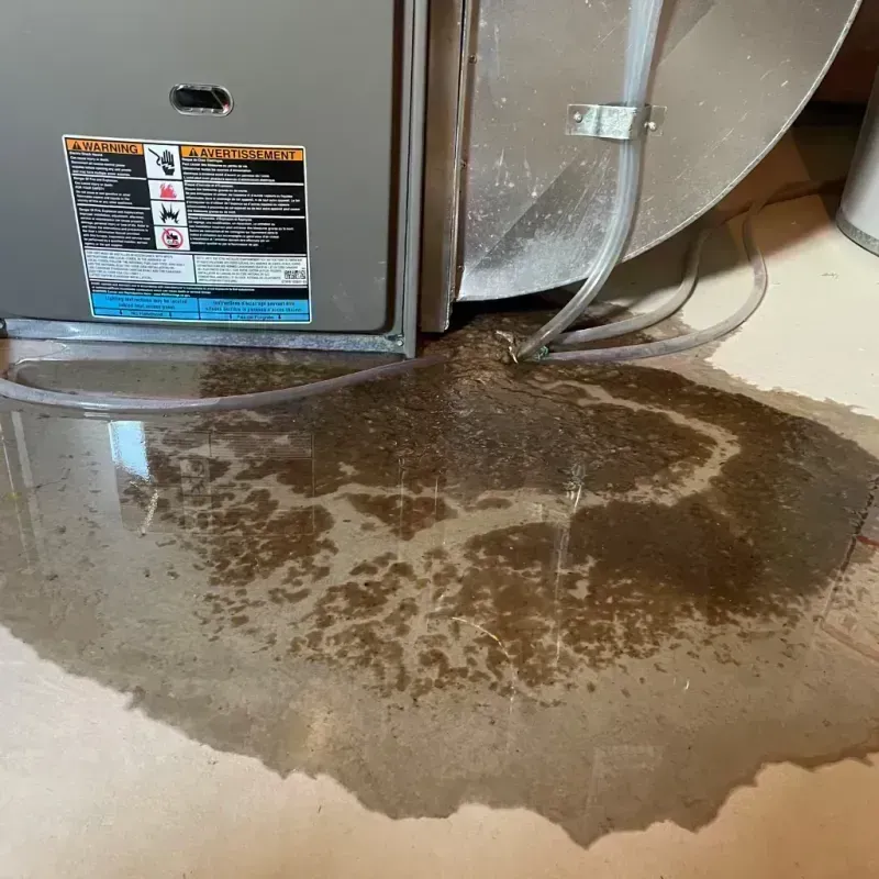 Appliance Leak Cleanup in Summerside, OH